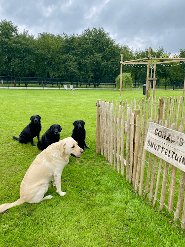 Muse�s Garden Logo