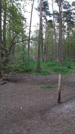 Hondenpark koersel kapelleke Logo
