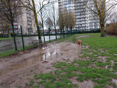 Hondenpark Potvlietlaan Logo