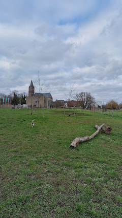 Hondenloopweide Avelgem Logo
