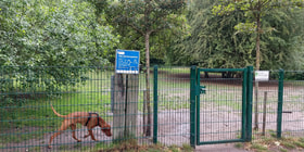 Hondenpark Schansstraat logo