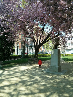 Place Hermann Dumont Logo