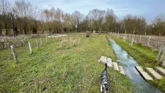 Hondenlosloopweide Brakel Logo