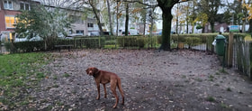 Hondenweide Eugeen Verelstlei logo