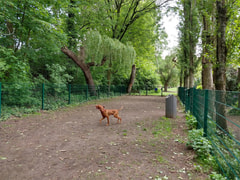 Hondenpark Weerstandlaan Logo
