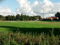 Hondenweide Zedelgem Logo