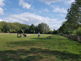 Honden losloop weide Vrijbroekpark logo