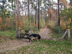Hondenpark Mechelse Heide Logo