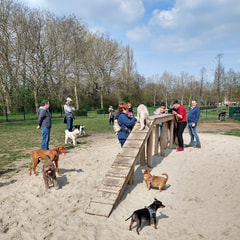 Hondenpark Borsbeeksebrug Logo