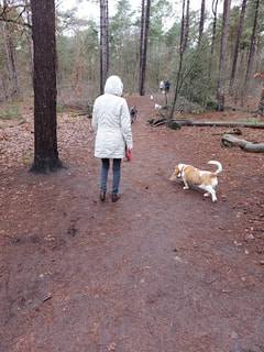 Hondenzone Haarterheide Logo