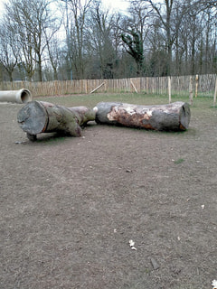 Hondenlosloopweide Reinaertpark Logo