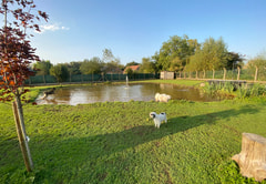 Hondsveld Logo