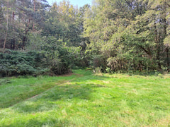 Hondenpark Ven onder de Berg Logo